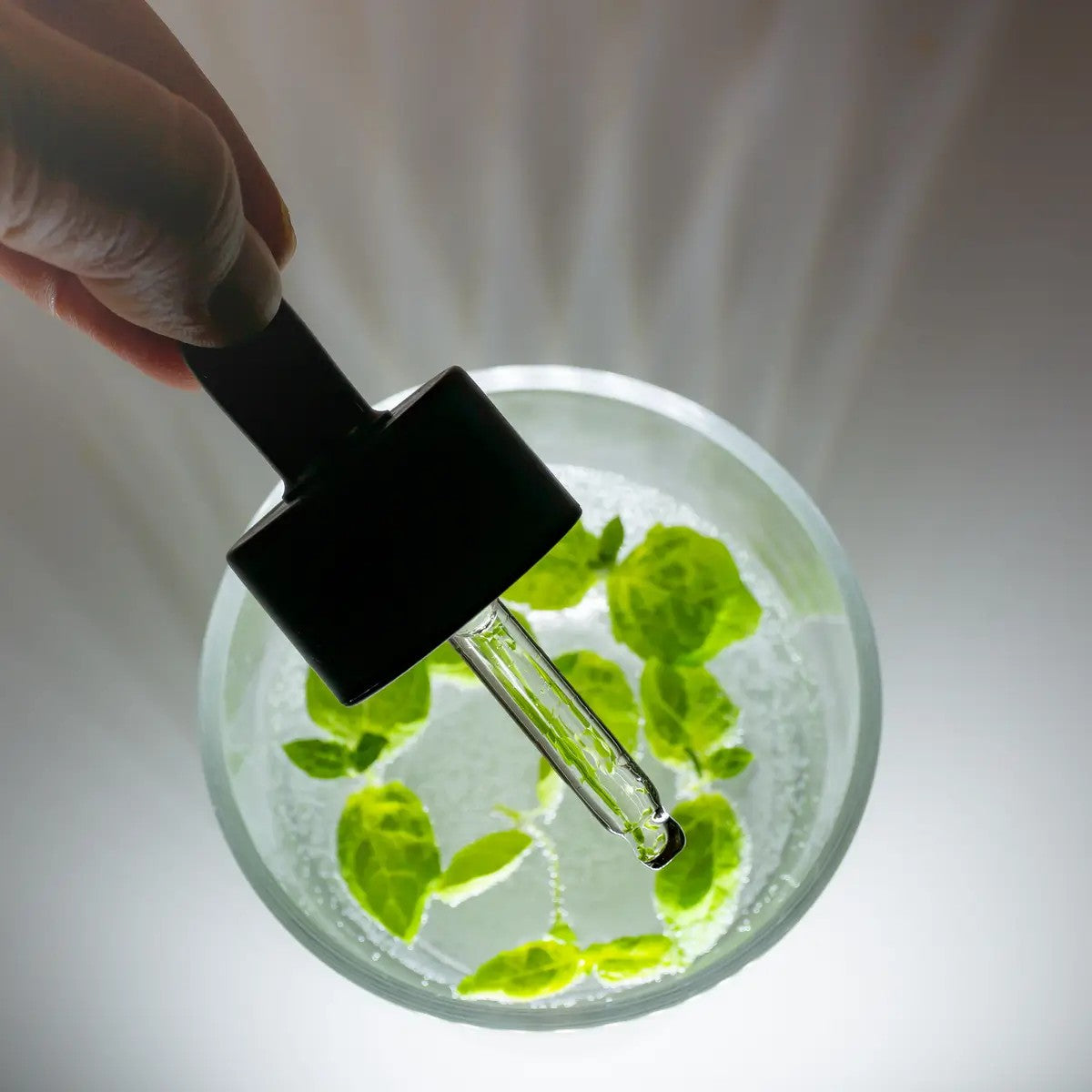 Rainforest Omega bagātināts eļļas serums, 30ml